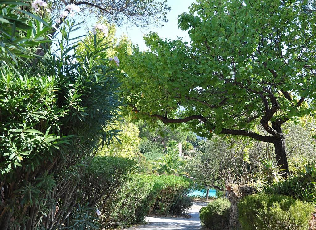 Residence Fior Di Rena Saint-Florent  Exterior photo